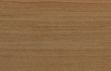 Rovere Bianco